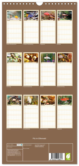 Pilz im Elfenwald (CALVENDO Familienplaner 2026)