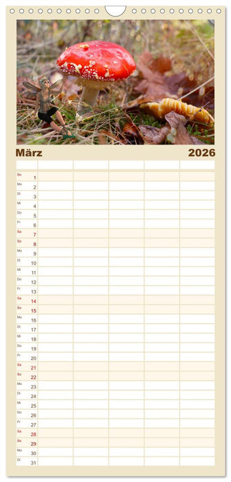 Pilz im Elfenwald (CALVENDO Familienplaner 2026)