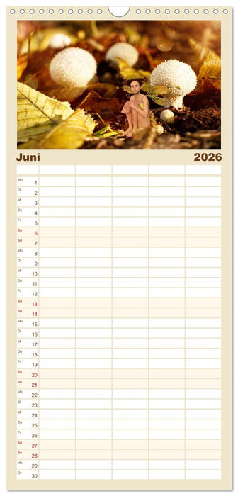 Pilz im Elfenwald (CALVENDO Familienplaner 2026)