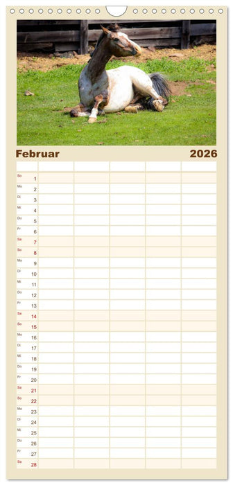 Grüße von der Alm (CALVENDO Familienplaner 2026)