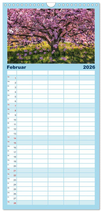 Bäume, der Atem der Natur (CALVENDO Familienplaner 2026)