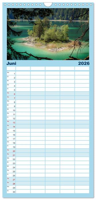 Bäume, der Atem der Natur (CALVENDO Familienplaner 2026)