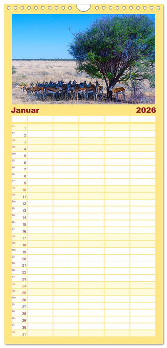 Namibia - Land im Süden Afrikas (CALVENDO Familienplaner 2026)
