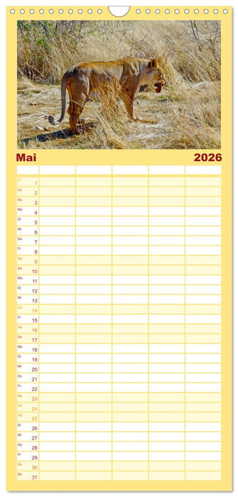 Namibia - Land im Süden Afrikas (CALVENDO Familienplaner 2026)