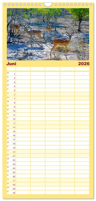 Namibia - Land im Süden Afrikas (CALVENDO Familienplaner 2026)