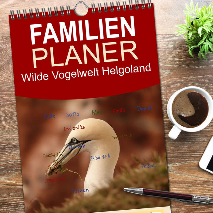 Wilde Vogelwelt Helgoland (CALVENDO Familienplaner 2026)