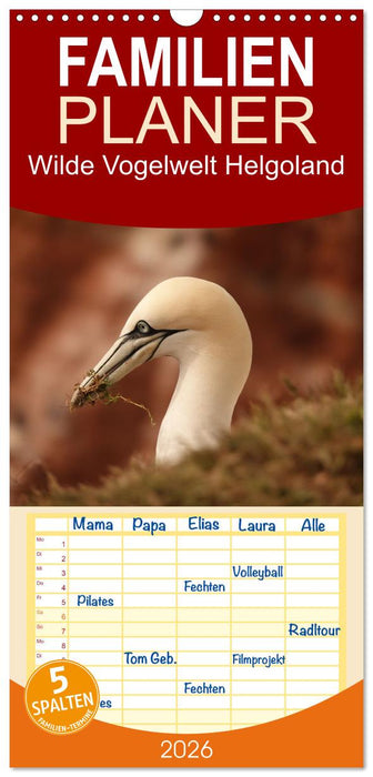 Wilde Vogelwelt Helgoland (CALVENDO Familienplaner 2026)