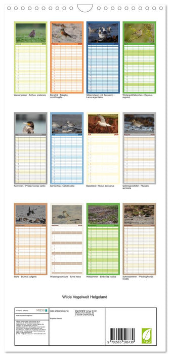 Wilde Vogelwelt Helgoland (CALVENDO Familienplaner 2026)