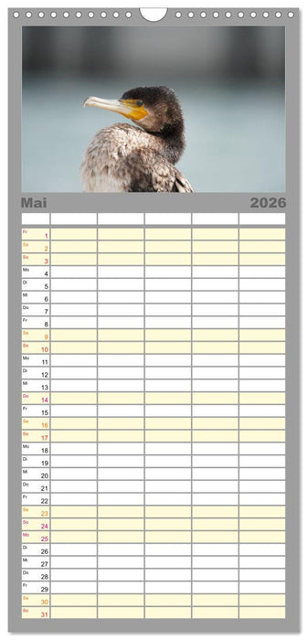 Wilde Vogelwelt Helgoland (CALVENDO Familienplaner 2026)