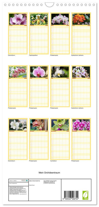 Mein Orchideentraum (CALVENDO Familienplaner 2026)