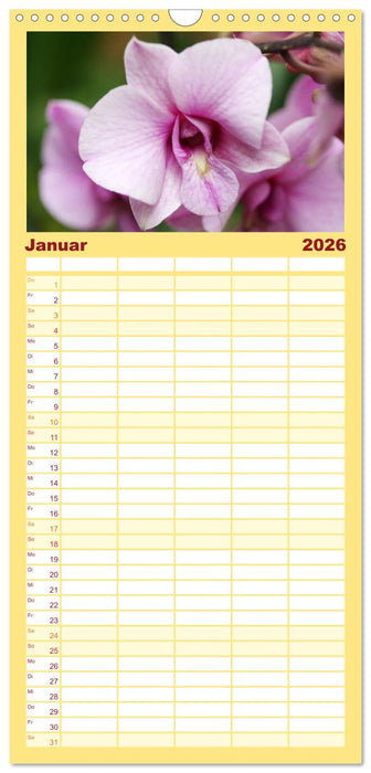 Mein Orchideentraum (CALVENDO Familienplaner 2026)