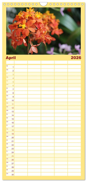 Mein Orchideentraum (CALVENDO Familienplaner 2026)