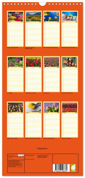 Tulpentraum (CALVENDO Familienplaner 2026)
