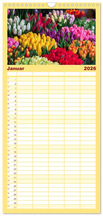 Tulpentraum (CALVENDO Familienplaner 2026)