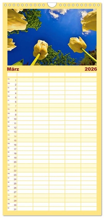 Tulpentraum (CALVENDO Familienplaner 2026)