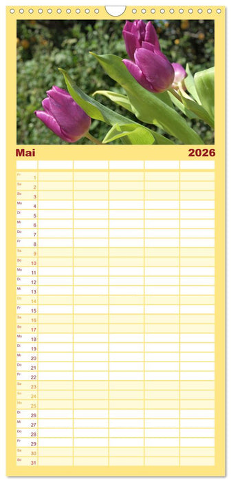 Tulpentraum (CALVENDO Familienplaner 2026)