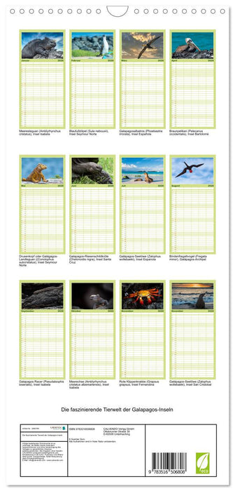 Die faszinierende Tierwelt der Galapagos-Inseln (CALVENDO Familienplaner 2026)