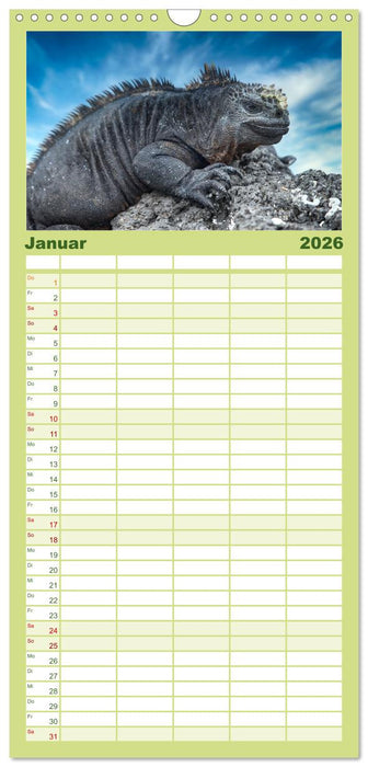 Die faszinierende Tierwelt der Galapagos-Inseln (CALVENDO Familienplaner 2026)