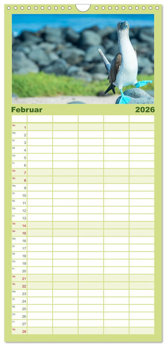 Die faszinierende Tierwelt der Galapagos-Inseln (CALVENDO Familienplaner 2026)