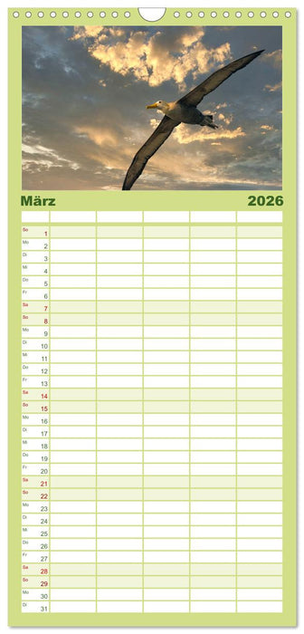 Die faszinierende Tierwelt der Galapagos-Inseln (CALVENDO Familienplaner 2026)