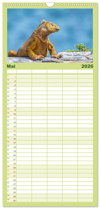 Die faszinierende Tierwelt der Galapagos-Inseln (CALVENDO Familienplaner 2026)