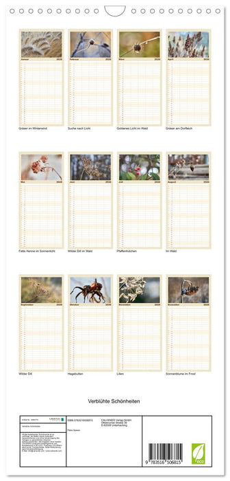 Verblühte Schönheiten (CALVENDO Familienplaner 2026)