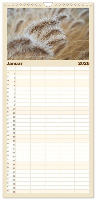 Verblühte Schönheiten (CALVENDO Familienplaner 2026)