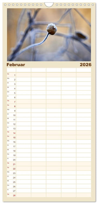 Verblühte Schönheiten (CALVENDO Familienplaner 2026)