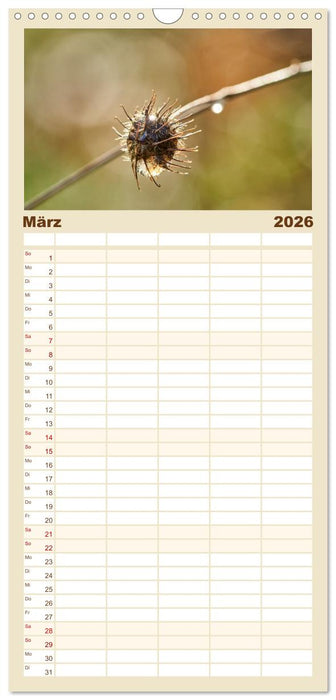 Verblühte Schönheiten (CALVENDO Familienplaner 2026)