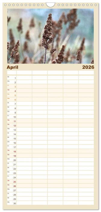 Verblühte Schönheiten (CALVENDO Familienplaner 2026)