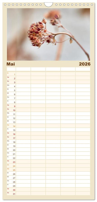 Verblühte Schönheiten (CALVENDO Familienplaner 2026)