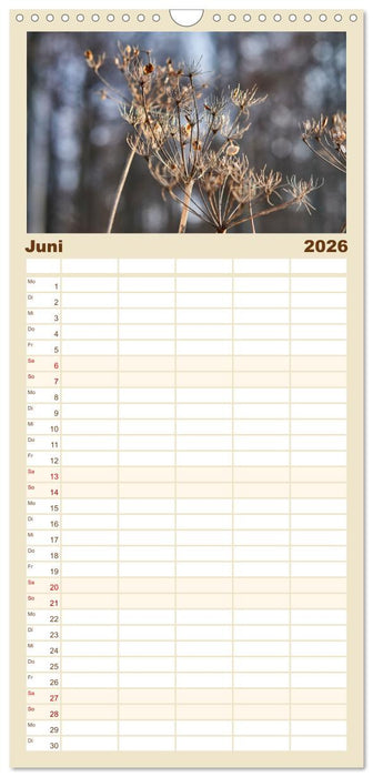 Verblühte Schönheiten (CALVENDO Familienplaner 2026)