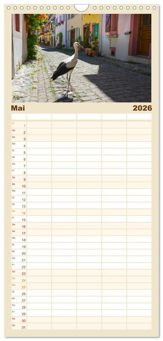 Frankreichs idyllische Dörfer (CALVENDO Familienplaner 2026)