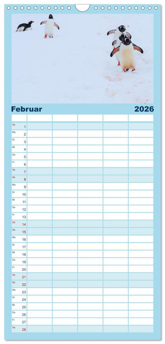 Arktis und Antarktis - Eisig durch das Jahr (CALVENDO Familienplaner 2026)