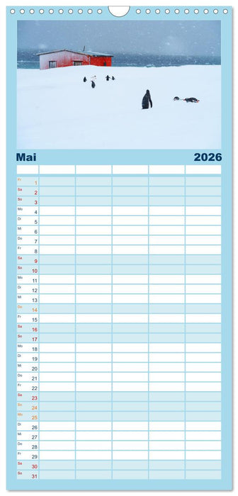 Arktis und Antarktis - Eisig durch das Jahr (CALVENDO Familienplaner 2026)