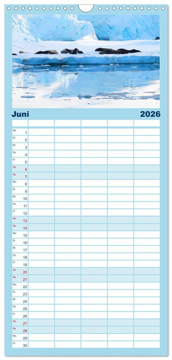 Arktis und Antarktis - Eisig durch das Jahr (CALVENDO Familienplaner 2026)