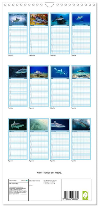 Haie - Könige der Meere. (CALVENDO Familienplaner 2026)