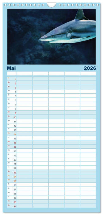 Haie - Könige der Meere. (CALVENDO Familienplaner 2026)