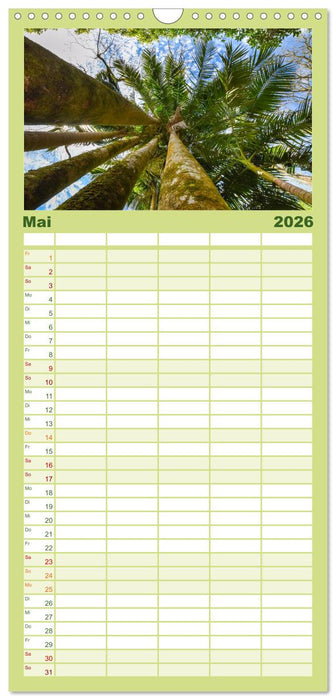 Azoreninsel São Miguel (CALVENDO Familienplaner 2026)