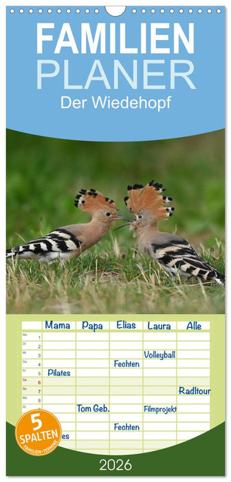 Der Wiedehopf (CALVENDO Familienplaner 2026)