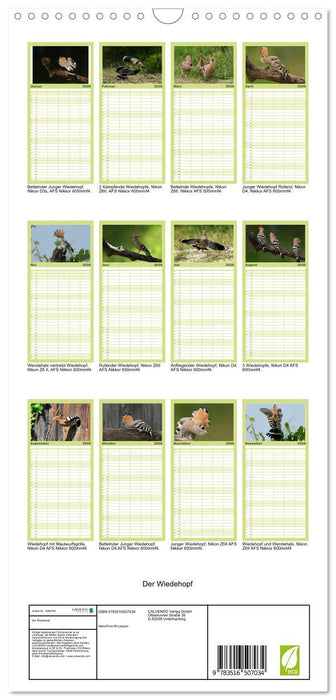 Der Wiedehopf (CALVENDO Familienplaner 2026)