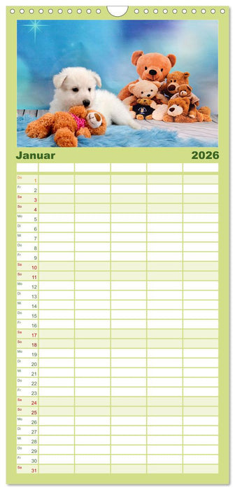 Weiße Schäferhunde - Welpenzeit (CALVENDO Familienplaner 2026)