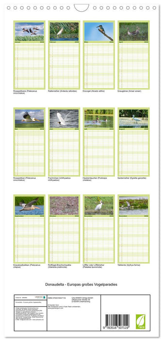 Donaudelta - Europas großes Vogelparadies (CALVENDO Familienplaner 2026)