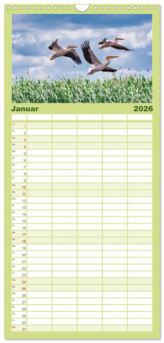 Donaudelta - Europas großes Vogelparadies (CALVENDO Familienplaner 2026)