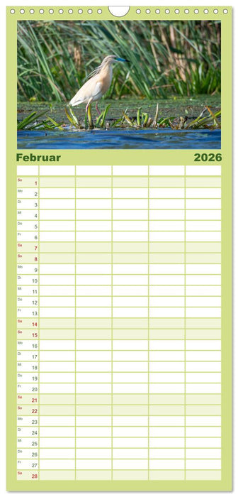 Donaudelta - Europas großes Vogelparadies (CALVENDO Familienplaner 2026)