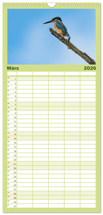 Donaudelta - Europas großes Vogelparadies (CALVENDO Familienplaner 2026)