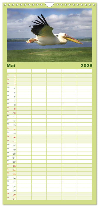 Donaudelta - Europas großes Vogelparadies (CALVENDO Familienplaner 2026)