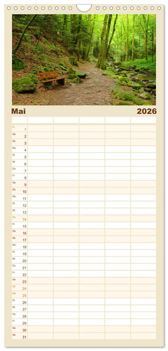 Bänke. In der Ruhe liegt die Kraft. (CALVENDO Familienplaner 2026)