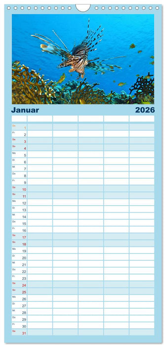 Abenteuer Riff - bunte Unterwasserwelt (CALVENDO Familienplaner 2026)