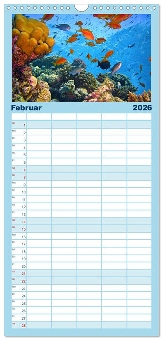 Abenteuer Riff - bunte Unterwasserwelt (CALVENDO Familienplaner 2026)